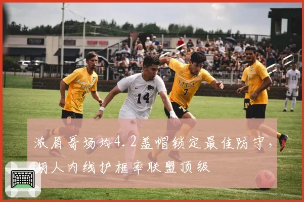浓眉哥场均4.2盖帽锁定最佳防守，湖人内线护框率联盟顶级